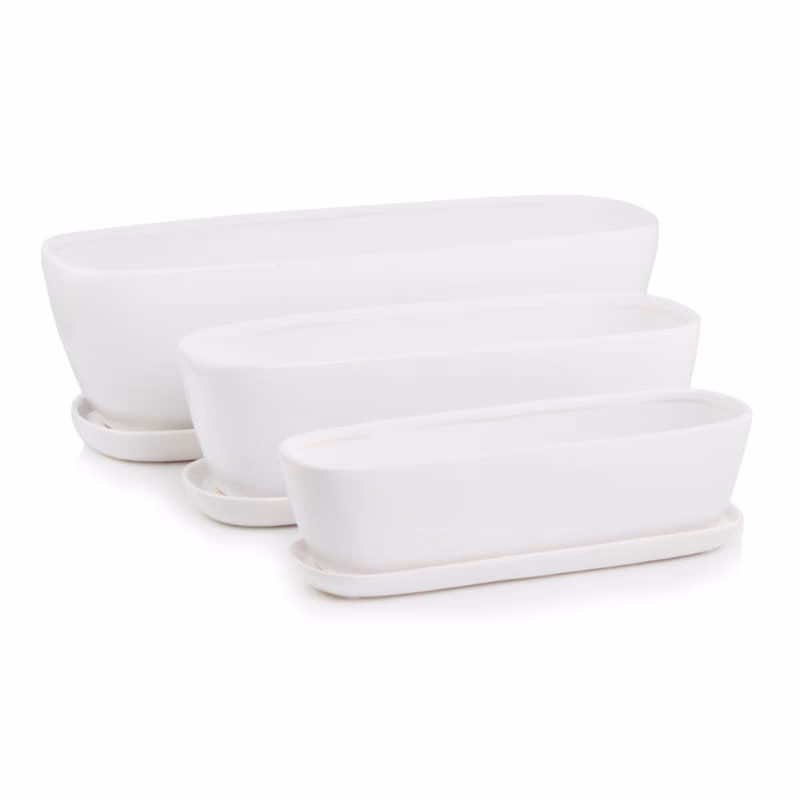 W jakie doniczki przesadzać kaktusy?