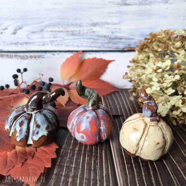 Czy dynie ozdobne można trzymać w domu?