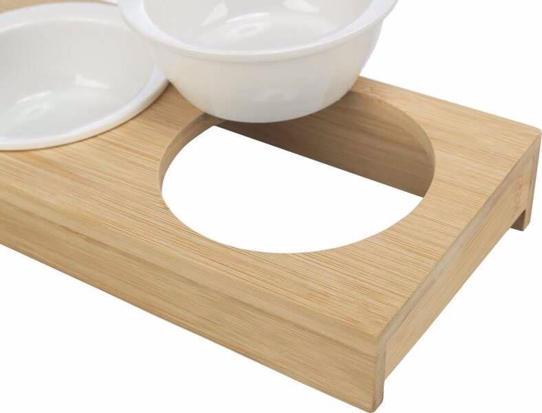 Czy koty wolą miski głębokie czy płytkie?