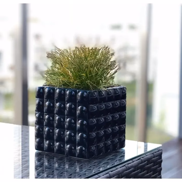 Czy czarne doniczki są dobre dla roślin?