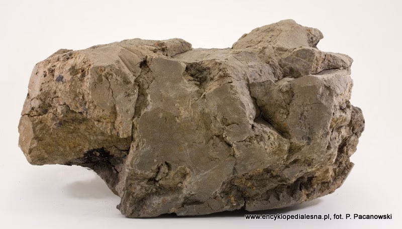 Jakie są skały luźne?