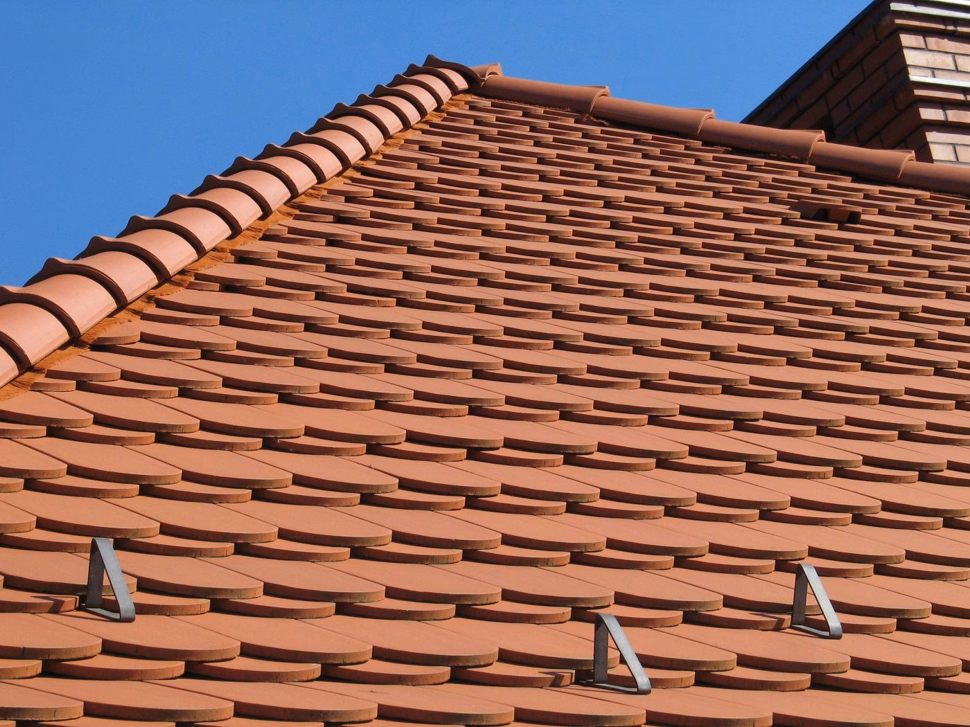 Czy dachowka karpiowka jest dobra?