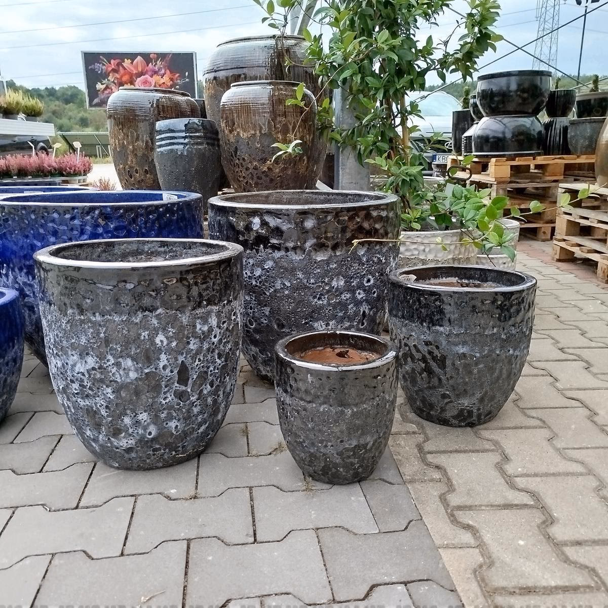 Czy lepsze są doniczki głębsze czy szersze?