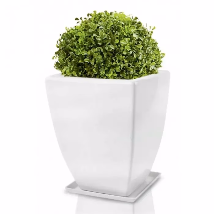 Ile kosztuje doniczka wrzosu?