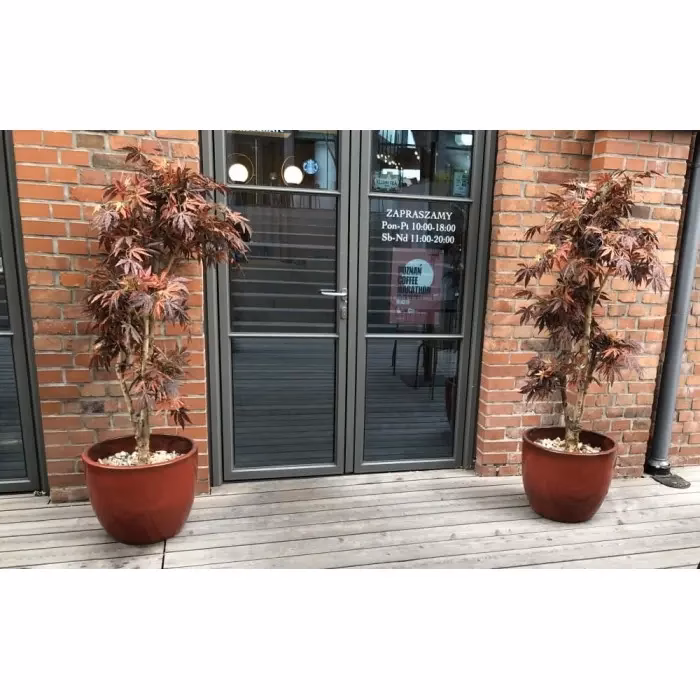 Co do podłużnej doniczki?