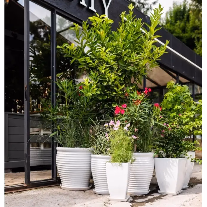 Jakie doniczki wybrać na balkon?