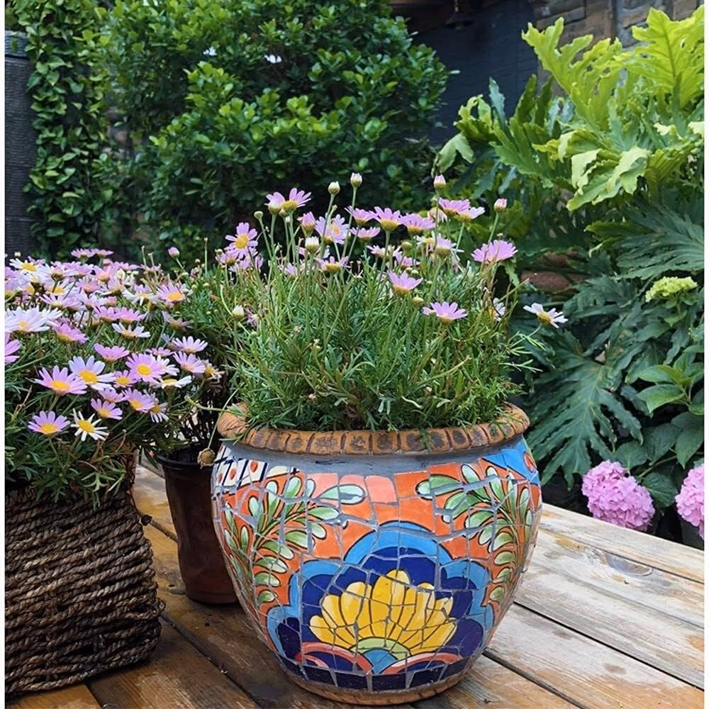 Czy doniczki ceramiczne są lepsze dla roślin niż plastikowe?