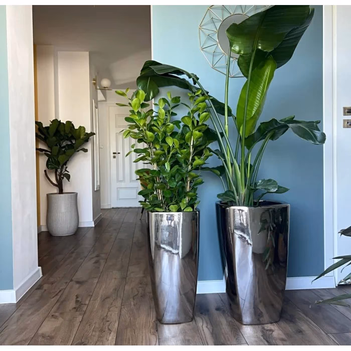 Jak zmienić kolor doniczki?