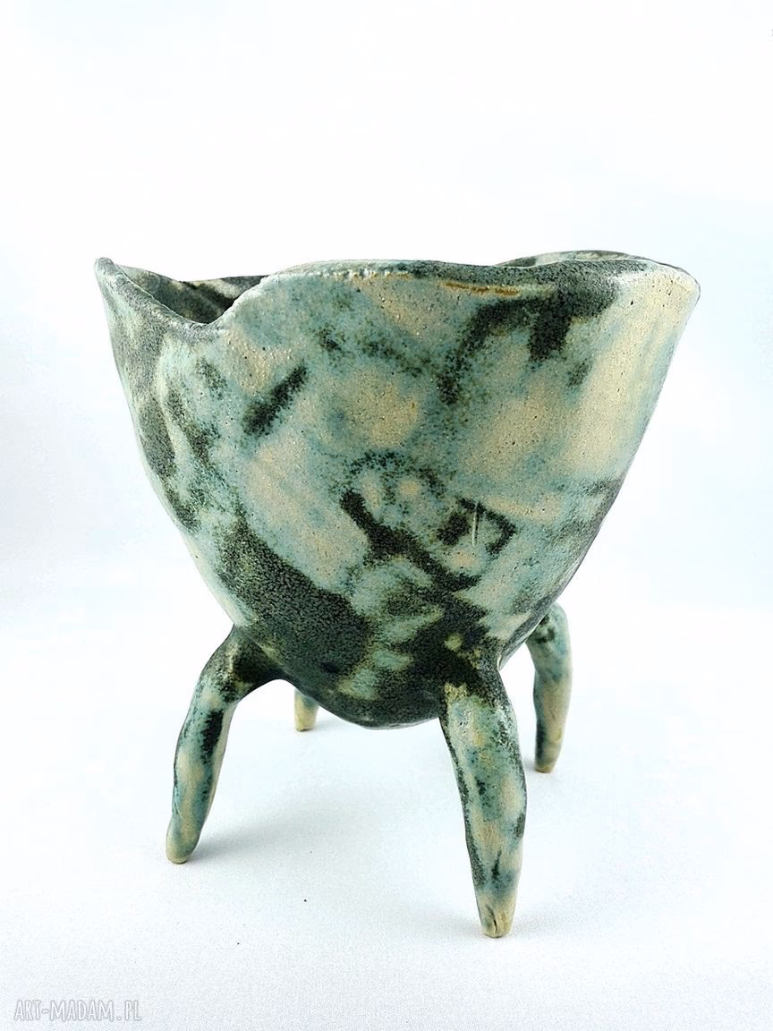 Jak zlikwidować pleśń z doniczki?