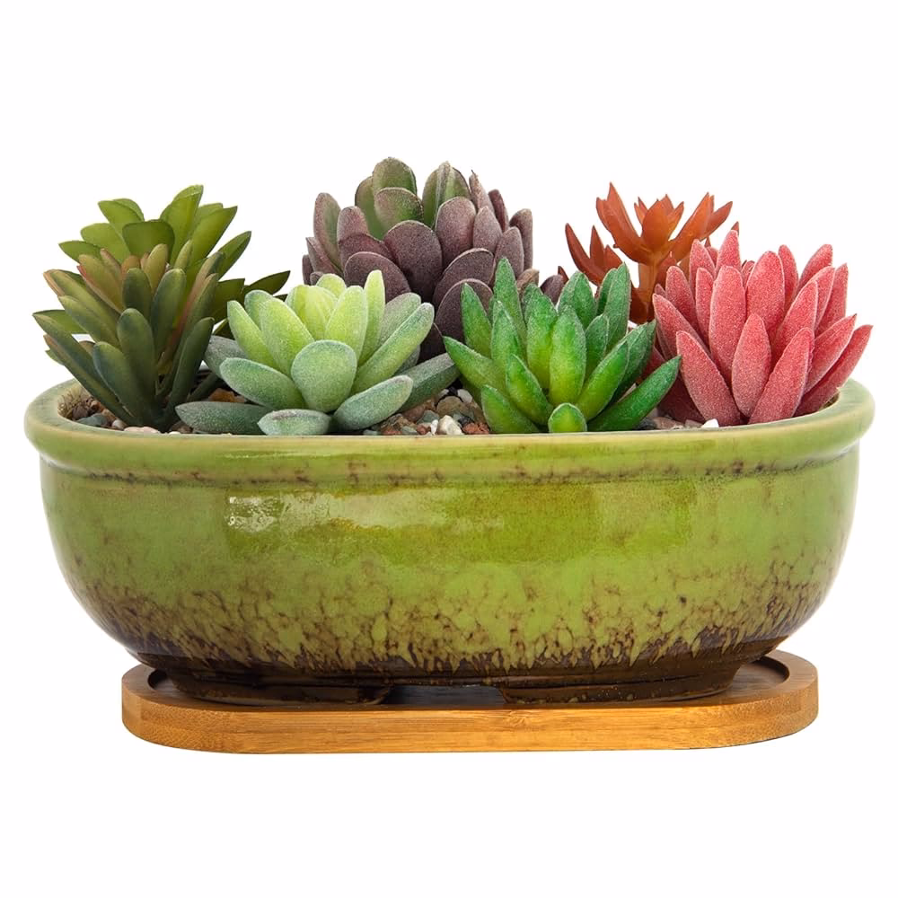 Czy doniczki ceramiczne nadają się do bonsai?