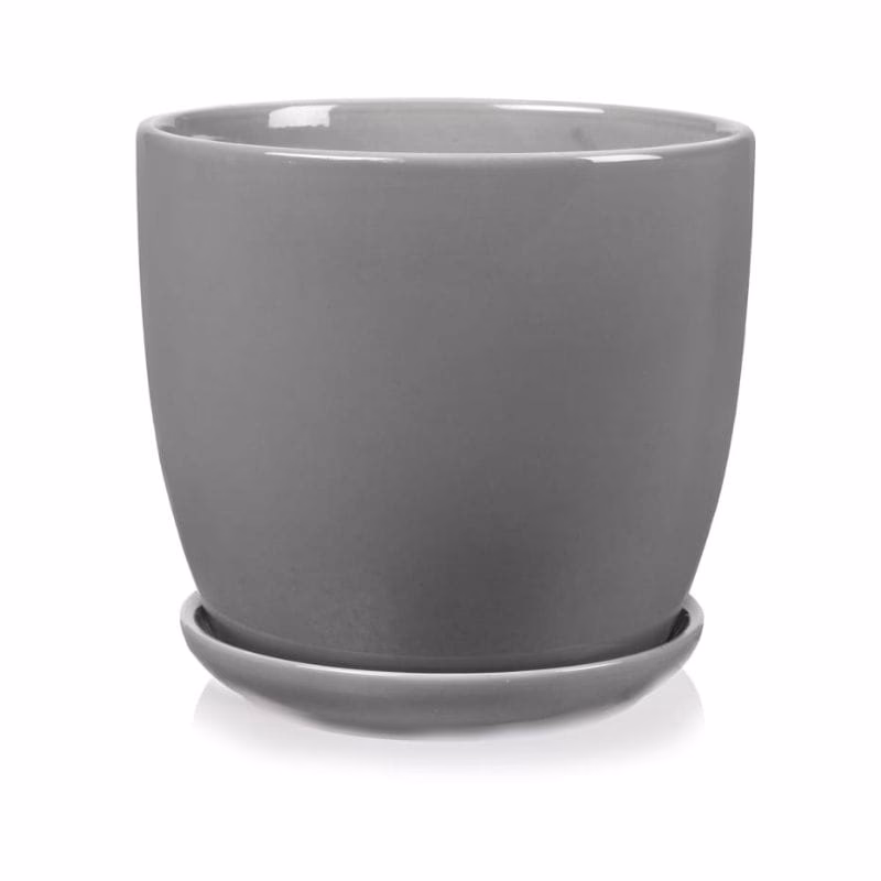 Czy można sadzić bezpośrednio w doniczce ceramicznej?