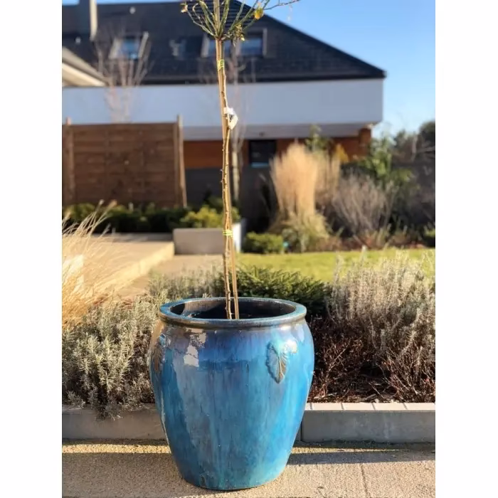 Czy doniczki ceramiczne szkliwione można zostawić na zewnątrz?