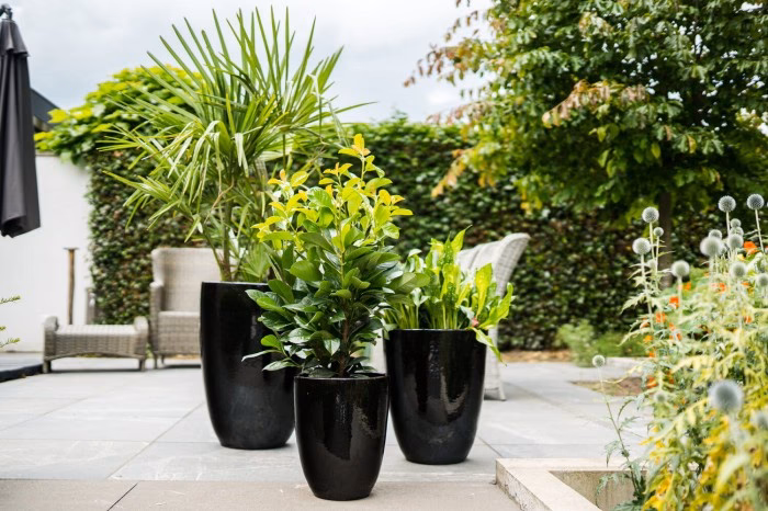 Czym wypełnić dno dużej donicy?