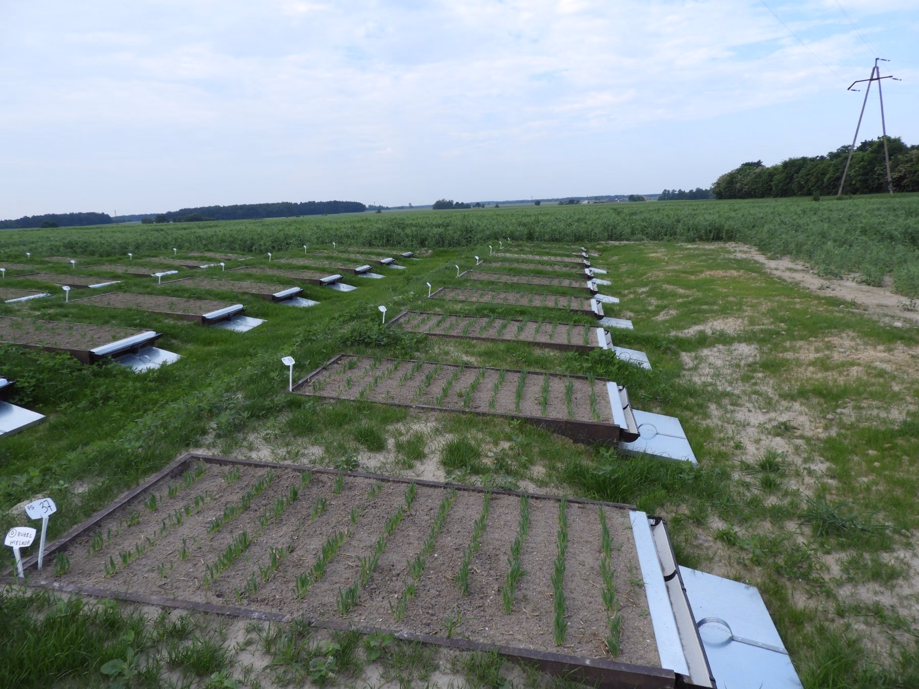 Jak określić kategorię agronomiczną gleby?