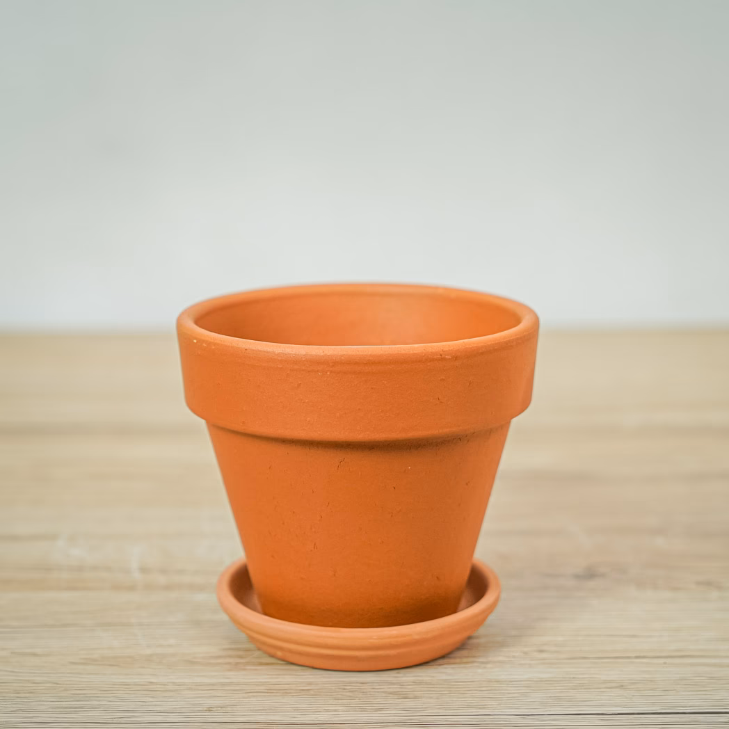 Co się sypie na dno doniczki?