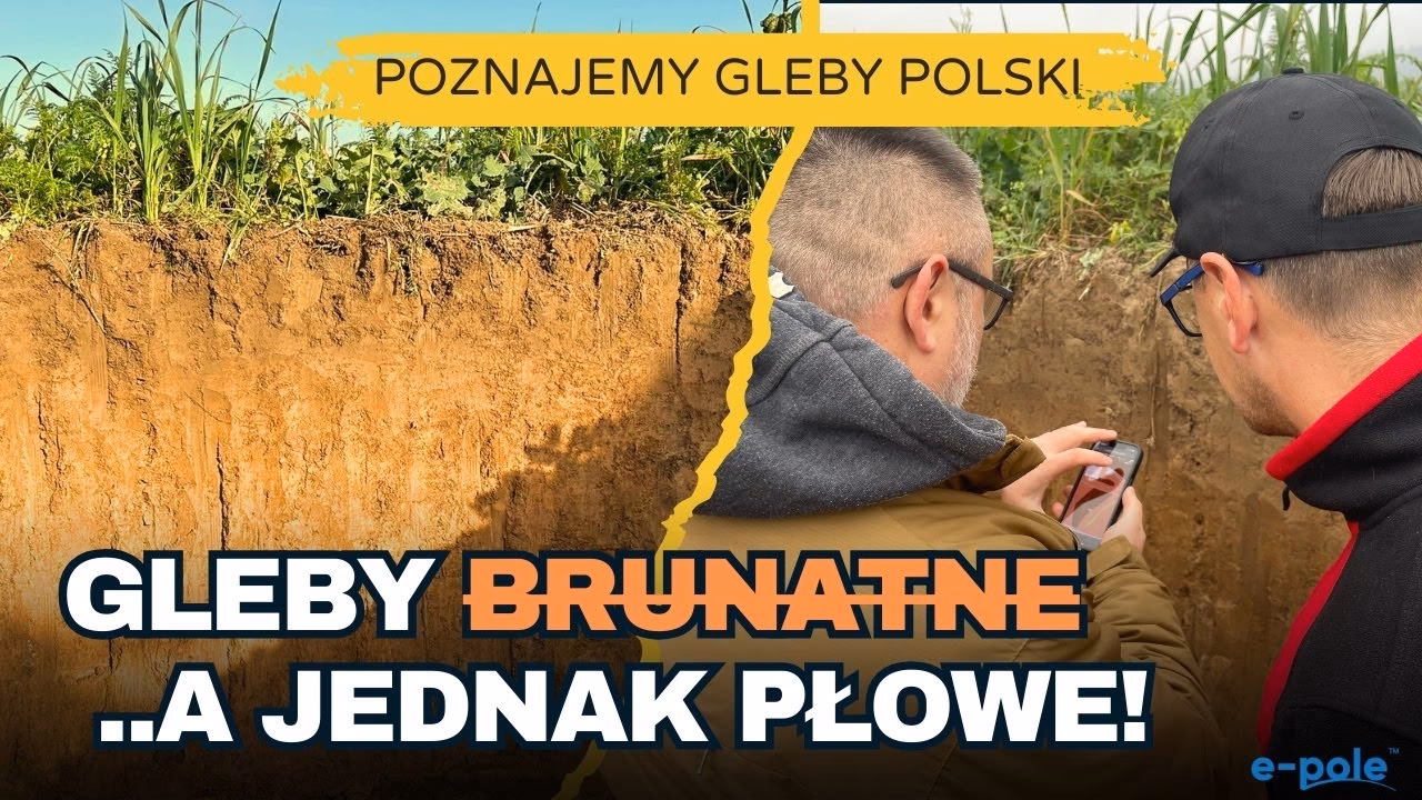 Gdzie w Polsce są najlepsze ziemie?