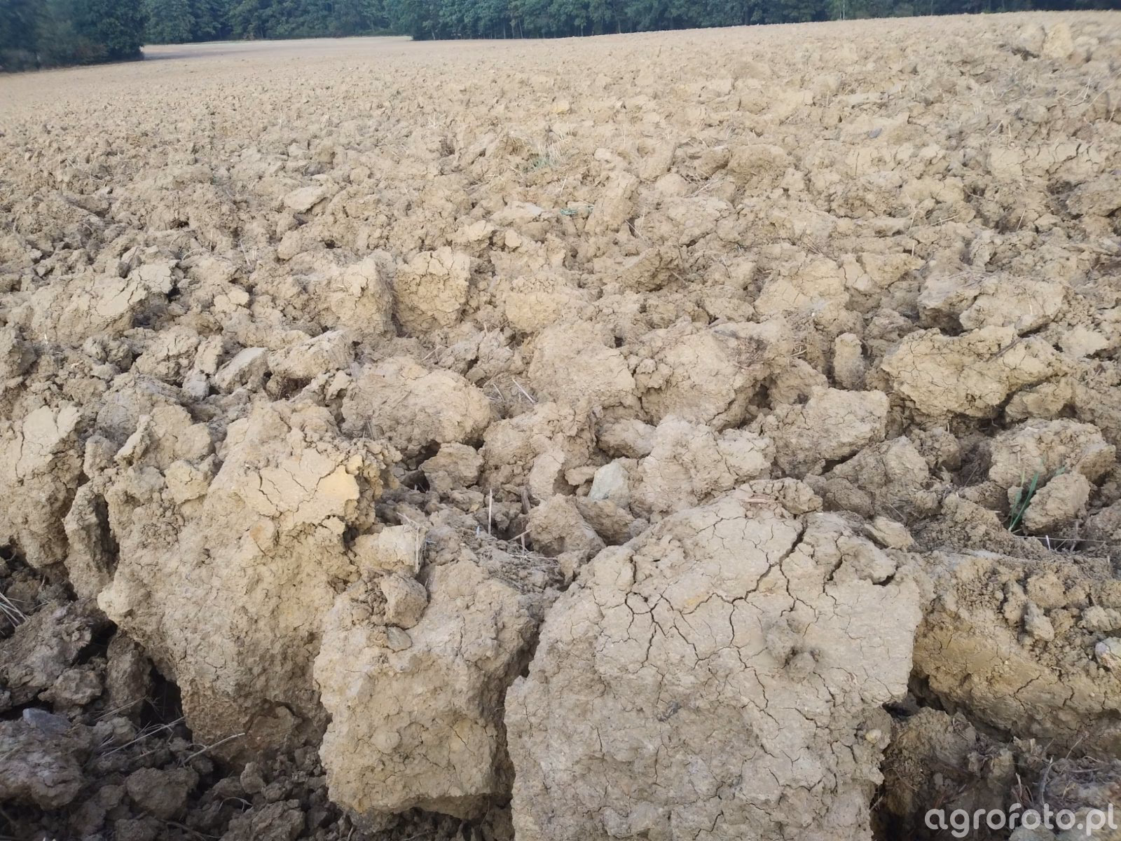 Czy glina jest mrozoodporna?