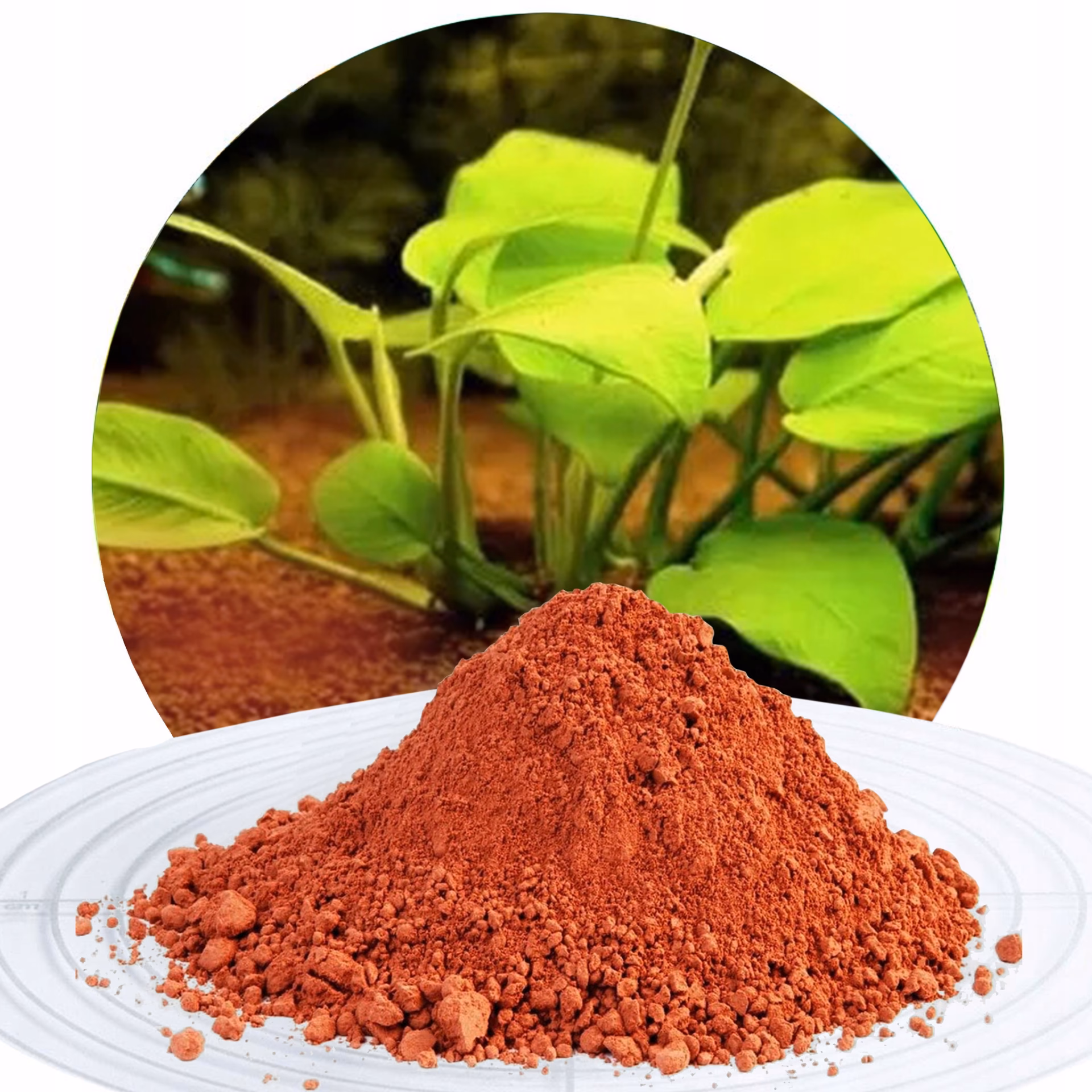 Jakie rośliny lubią glinę?