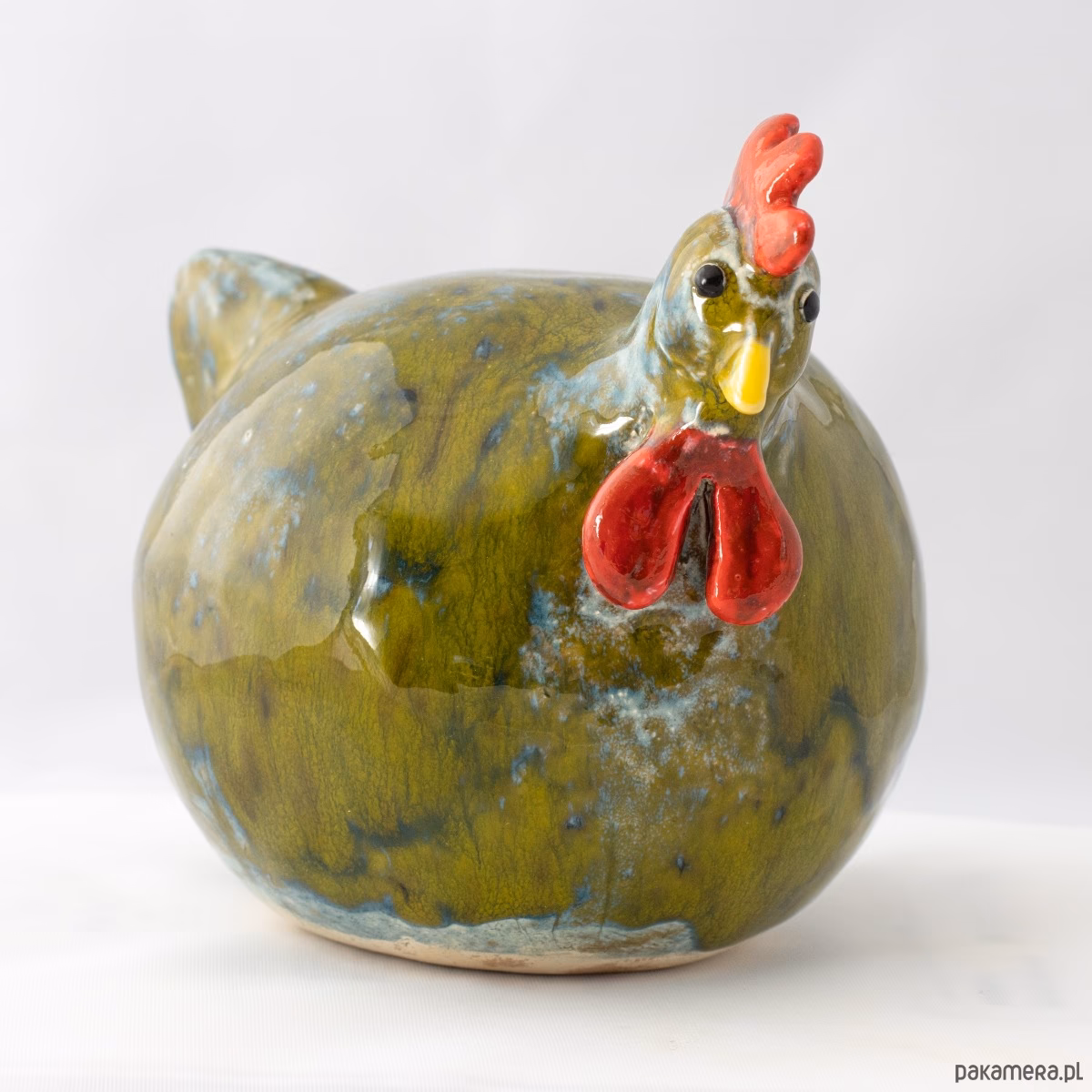 Czy kura potrzebuje koguta, żeby znieść jajko?