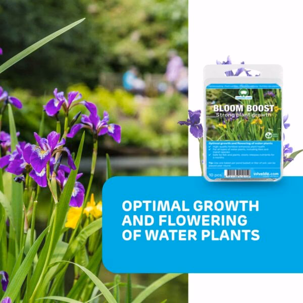 Czy gleba gliniasta jest dobra dla oczka wodnego?