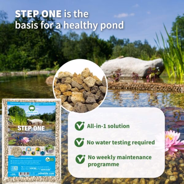 Jak wykonać oczko wodne z gliny?