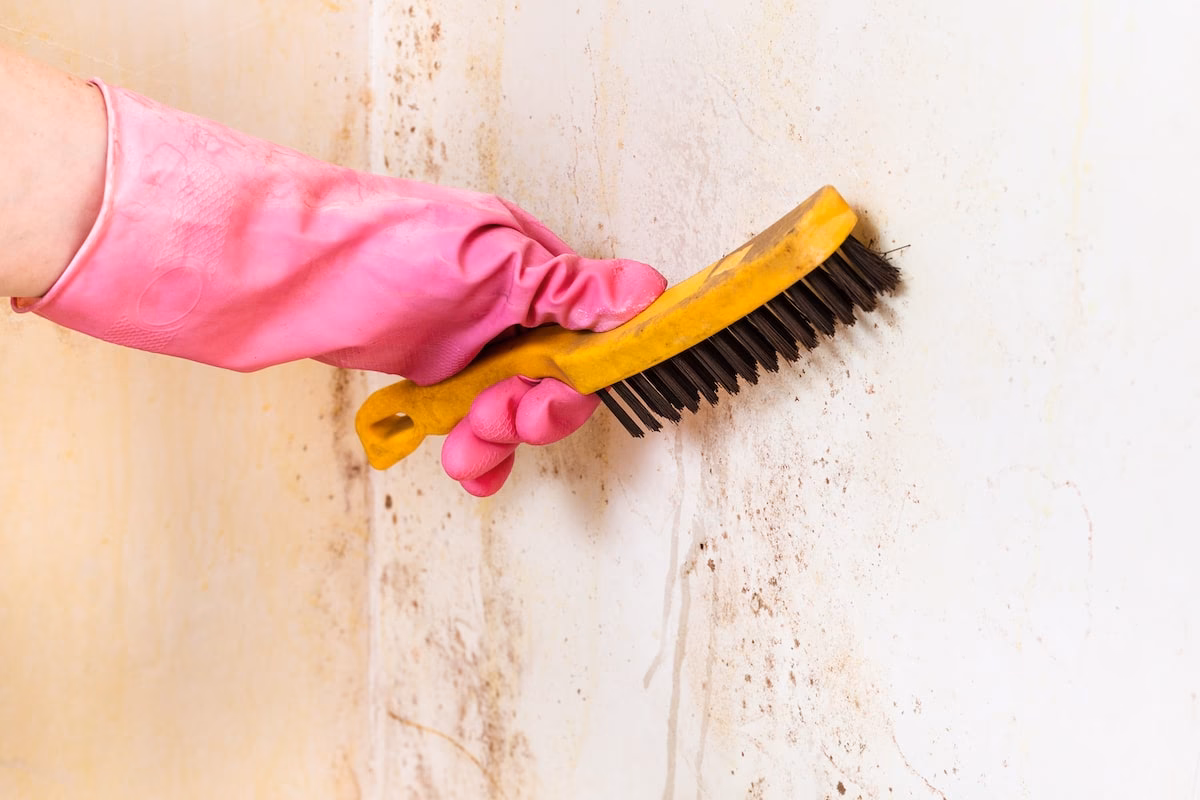 Czy można myć ściany płynem do naczyń?