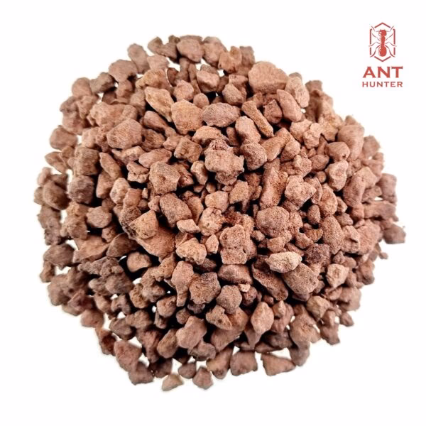 Jakie podłoże do formikarium?