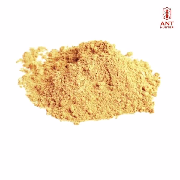 Jakie podłoże dla messor barbarus?