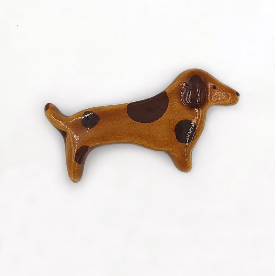 Jakie wady ma jamnik?