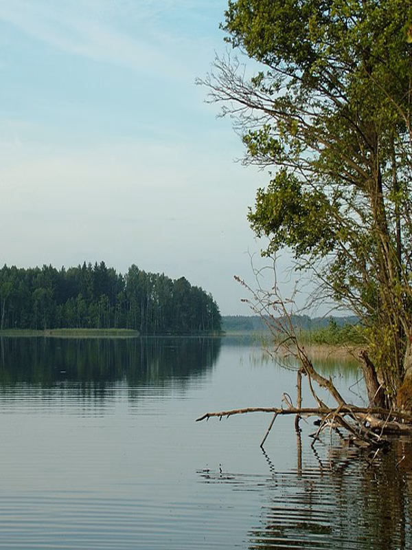 Jakie jezioro jest w Wieleniu?