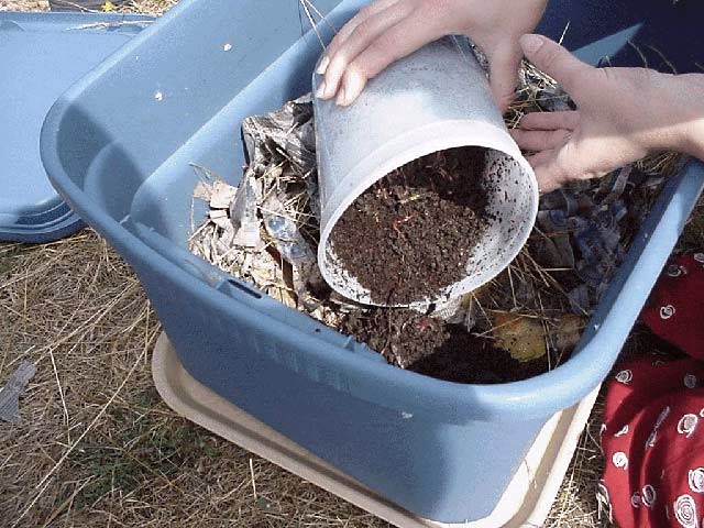 Czy ceramikę można wrzucać do kompostownika?