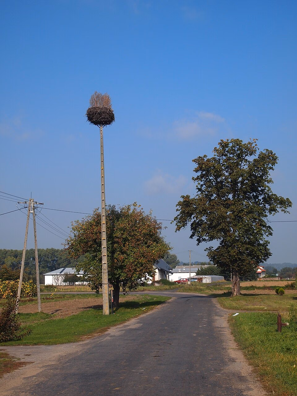Jak się mówi w Kwidzynie czy w Kwidzynie?