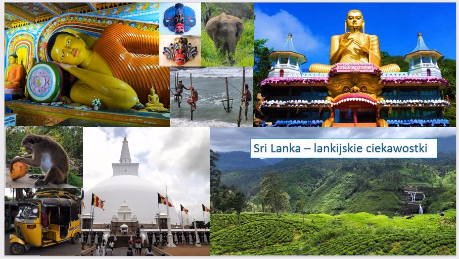 Co kupić na Sri Lance?