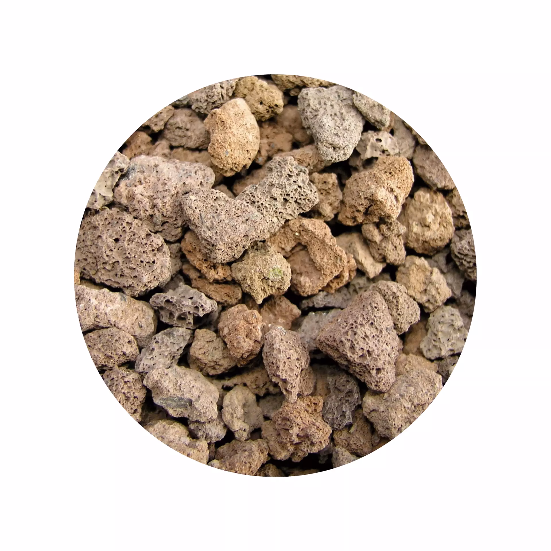 Czy lawa wulkaniczna nadaje się jako podłoże w akwarium?