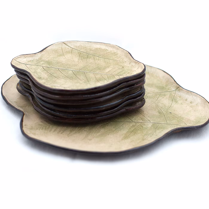 Do czego służy liść paproci?