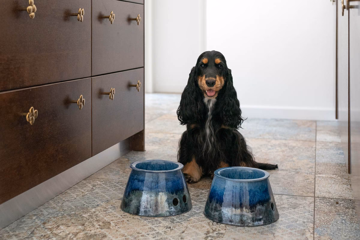 Jakie miski dla cocker spaniela?