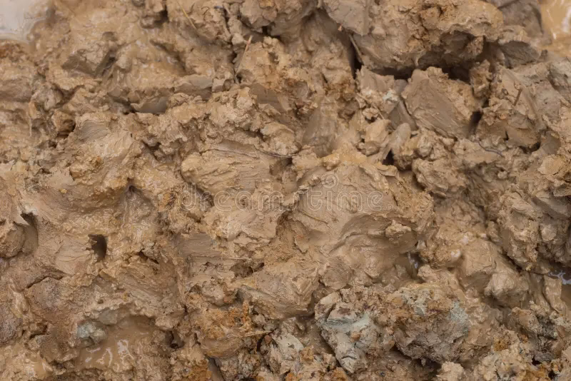 Jak nazywa się mokra glina?