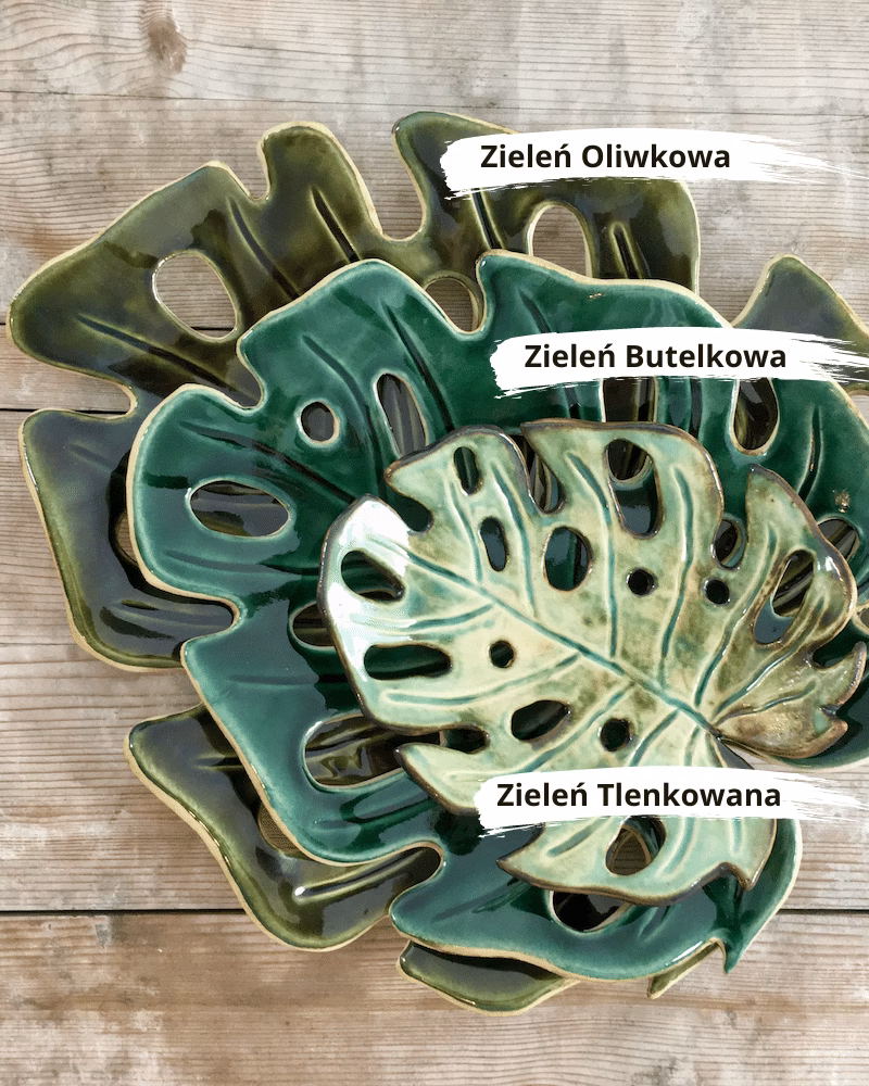 Czy monstera jest zdrowa dla człowieka?