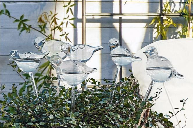 Jak działa kulka do nawadniania?