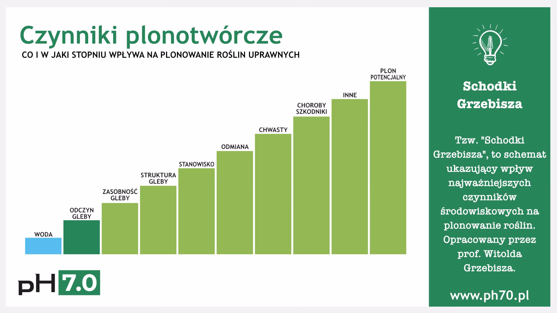 Jaki jest wzór na pojemność sorpcyjną?