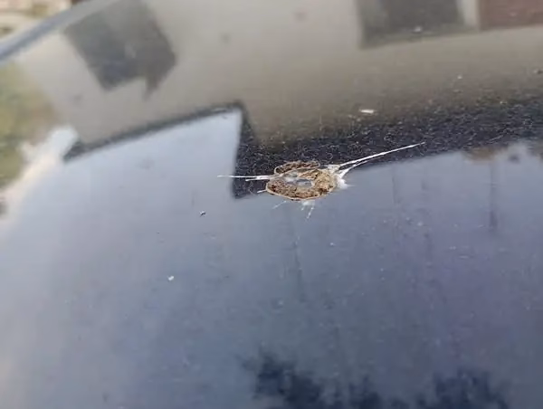 Czy powłoka ceramiczna może zapobiec rdzewieniu?