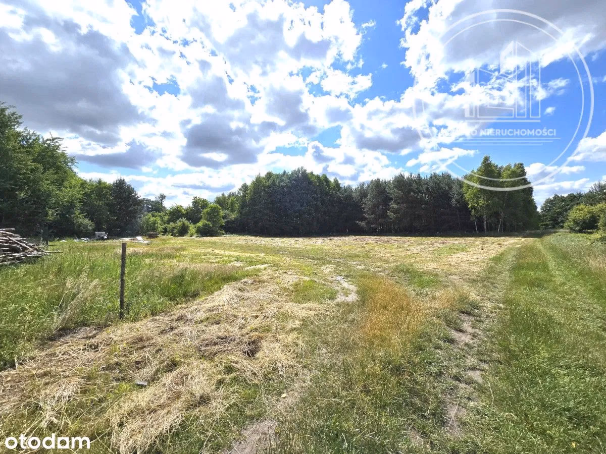 Ile kosztuje 1m działki w Zakopanem?