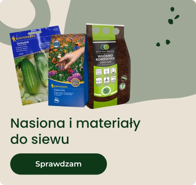 Kiedy przycinać jabłonie zielone pogotowie?